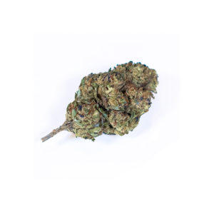 fleur de CBD harlequin
